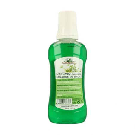 ELIXIR BUCAL A LA MIRRA 250 ML. CORPORE SANO ELIXIR BUCAL A LA MIRRA 250 ML. CORPORE SANO