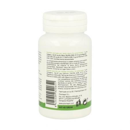 COLAGENO, MAGNESIO, VIT C Y D 120 COMP. PLANTAPOL COLAGENO, MAGNESIO, VIT C Y D 120 COMP. PLANTAPOL