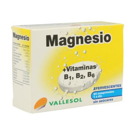 MAGNESIO + VIT B EFERVESCENTE 24 COMP. VALLESOL MAGNESIO + VIT B EFERVESCENTE 24 COMP. VALLESOL