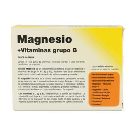 MAGNESIO + VIT B EFERVESCENTE 24 COMP. VALLESOL MAGNESIO + VIT B EFERVESCENTE 24 COMP. VALLESOL