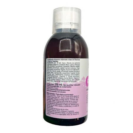 GALEDETOX 250 ML. GALENATUR GALEDETOX 250 ML. GALENATUR