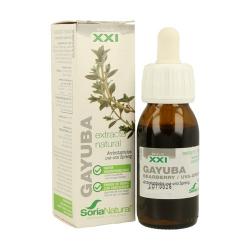 EXTRACTO DE GAYUBA 50 ml. SORIA NATURAL