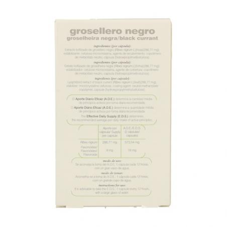 CAPSULAS 23-S - GROSELLERO NEGRO CAPSULAS 23-S - GROSELLERO NEGRO