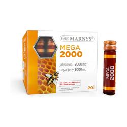 MEGA 2000 MG 20 VIALES MARNYS