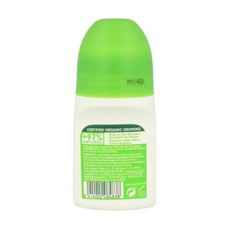 DESODORANTE ROLL-ON ÁRBOL DE TÉ 75ML.CORPORE DESODORANTE ROLL-ON ÁRBOL DE TÉ 75ML.CORPORE