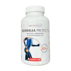 BOSWELIA PROTECT 500 MG. 45 Perlas. INTERSA