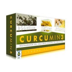 CURCUMIN 700MG 30 CAPSULAS. TEGOR