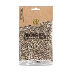 ECHINACEA RAIZ 50GR.NATURCID