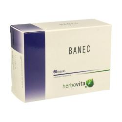 BANEC 60 CAPS. HERBOVITA