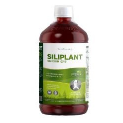 SILIPLANT SILICIUM G7 1L BIO DINAMIZADO