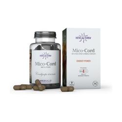 MICO CORD 70 CAPS. HIFAS DA TERRA