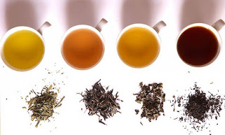 Tipos de Té y propiedades