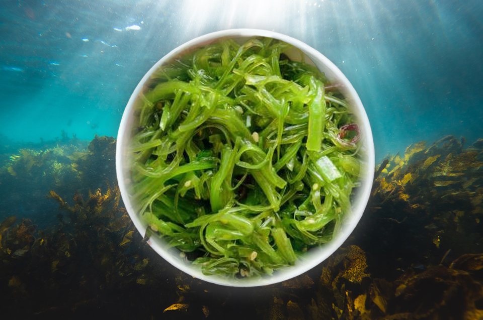 ¿Por qué es tan beneficioso comer algas?