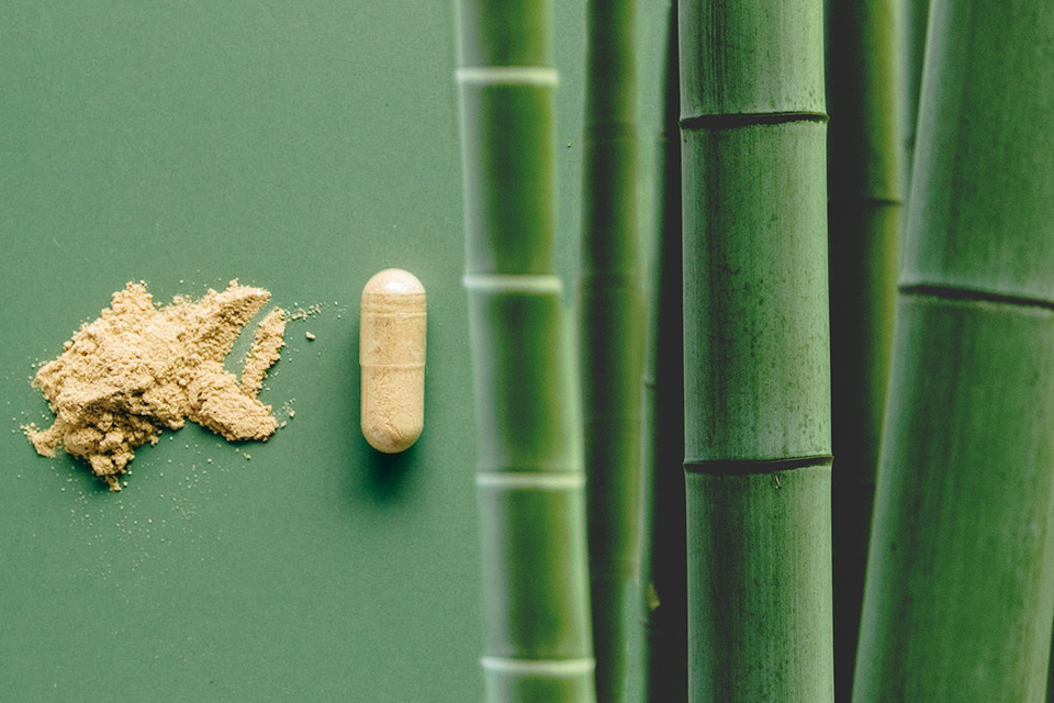 Usos y beneficios del bambú