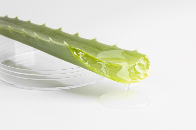 Remedios naturales para el mareo