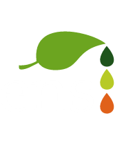 ENS